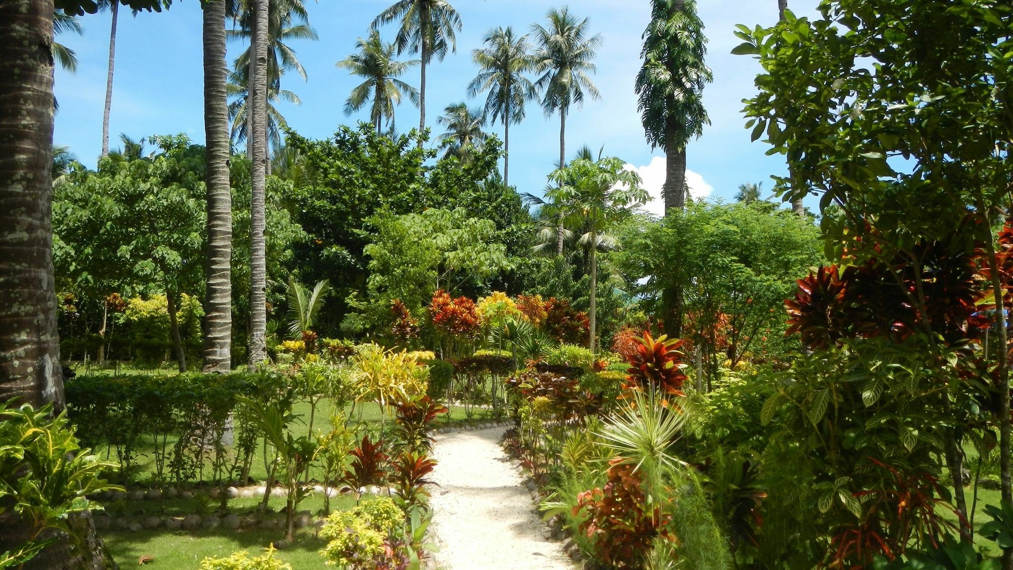 Las Cabanas Beach Resort El Nido Εξωτερικό φωτογραφία