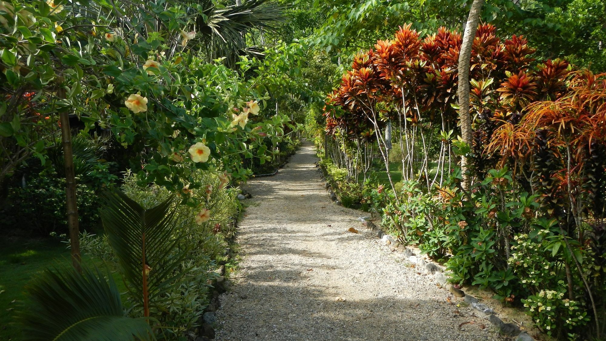 Las Cabanas Beach Resort El Nido Εξωτερικό φωτογραφία